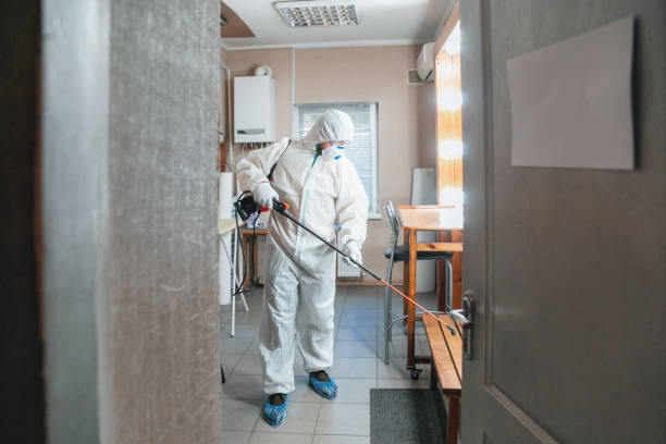 Mold Removal for HVAC Installations in Quakertown, PA