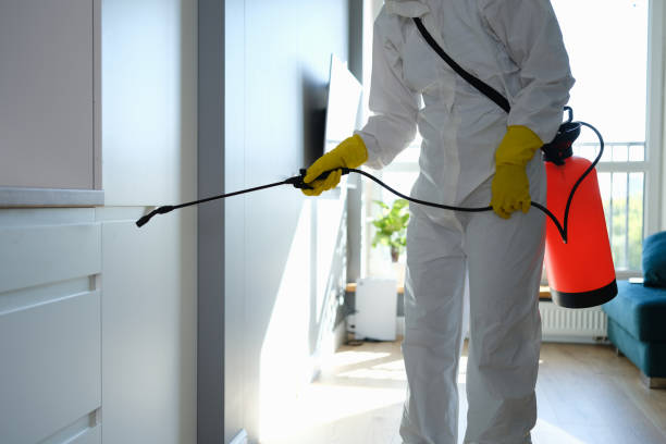Best Mold Remediation for Healthcare Facilities  in Quakertown, PA