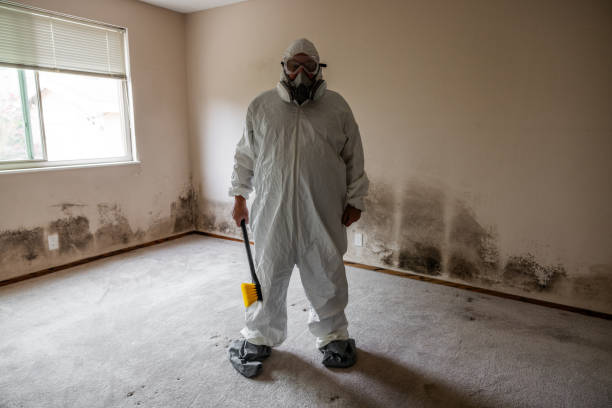 Best Mold Removal for HVAC Installations  in Quakertown, PA